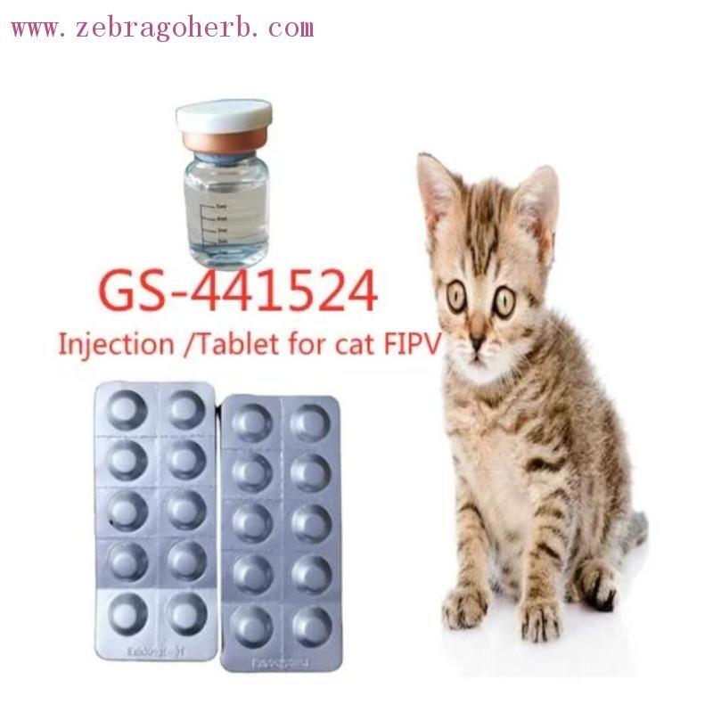 Clinical Trial Fip Experimental Treatment Cat Fipv Test Kit Feline