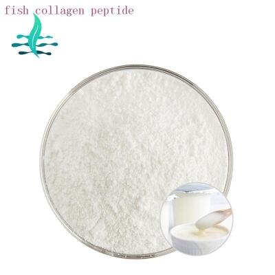 fish collagen peptide powder 99% white powder lanshan lanshan