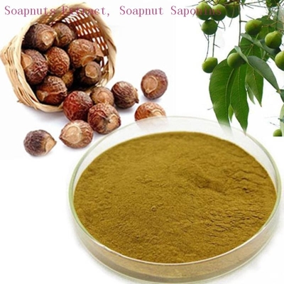 Soapnuts Extract, Soapnut Saponins 50% yellow brown powder STA001 STAHERB