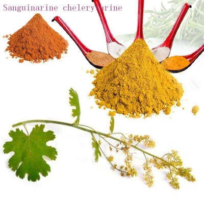 Macleaya cordata extract Sanguinarine chelerythrine 60% orange fine powder STA001 STAHERB