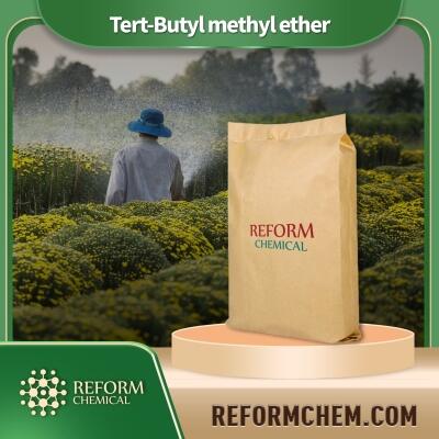 buy Tert-Butyl methyl ether CAS NO. 1634-04-4 Chemical raw materials 99% High Quality