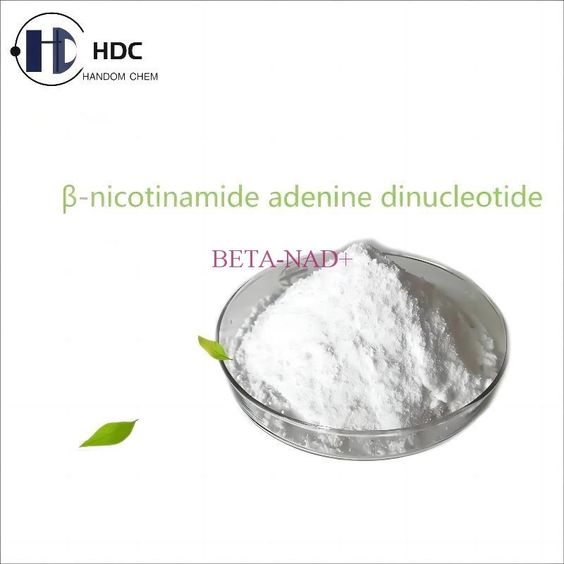 Buy Beta-Nicotinamide Adenine Dinucleotide used to delay aging and ...