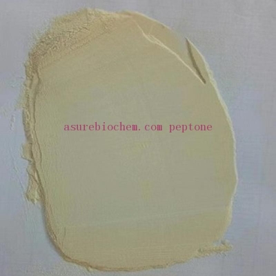 Tryptone casein peptone light yellow Powder  Asure