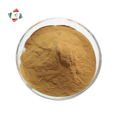 High Purity Factory Supply Bacopa Extract  99% brown powder HHD HHD