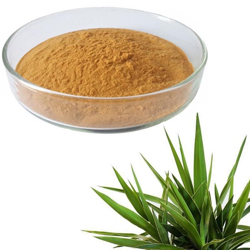 Yucca Extract