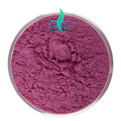 Blueberry freeze-dried powder 99% purple  Lanshan