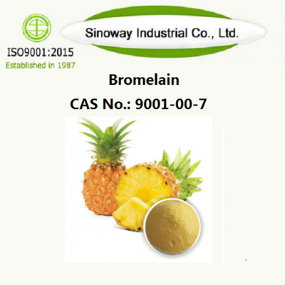 Natural 3600GDU/G Pineapple Extract Bulk Bromelain Powder CAS 9001-00-7