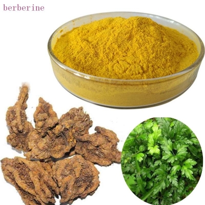 berberine 98% yellow fine powder STA001 STAHERB