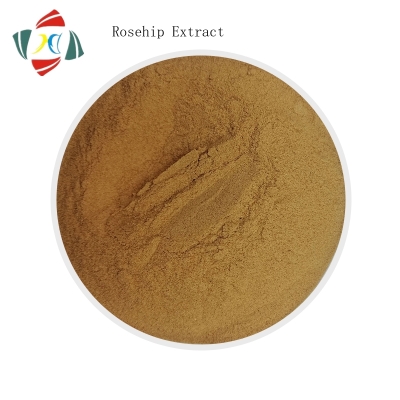 Wuhan Hhd Pure Natural Wholesale Bulk Vitamin C Rosehip extract