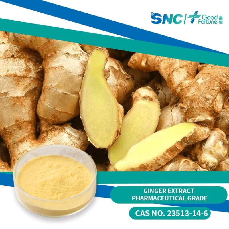 Ginger Extract/6-Gingerol pharmaceutical grade 99% Light yellow powder  SNC | Good Fortune wholesale Ginger Extract/6-Gingerol pharmaceutical grade 99% Light yellow powder  SNC | Good Fortune