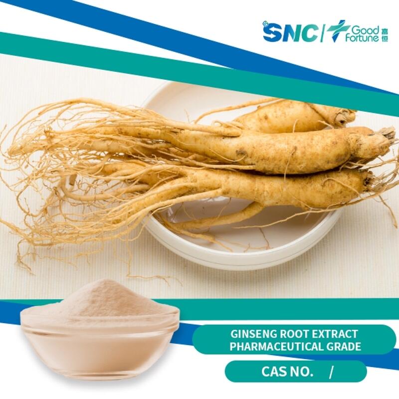 wholesale Ginseng Root Extract pharmaceutical grade 99% Brown powder  SNC | Good Fortune