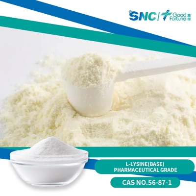 L-Lysine(Base) pharmaceutical grade 99% white powder  SNC | Good Fortune