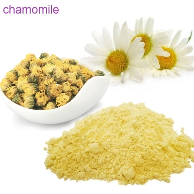 Chamomile Extract apigenin  Light yellow powder