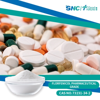 Florfenicol pharmaceutical grade 98% white powder  SNC | Good Fortune