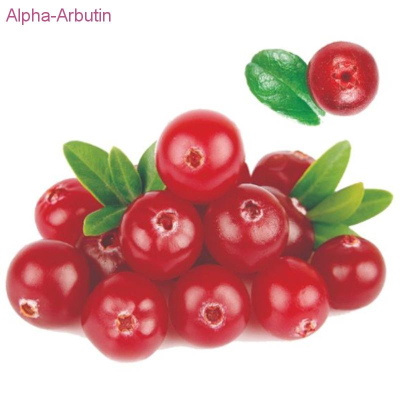 Alpha-Arbutin 1%-98% HPLC