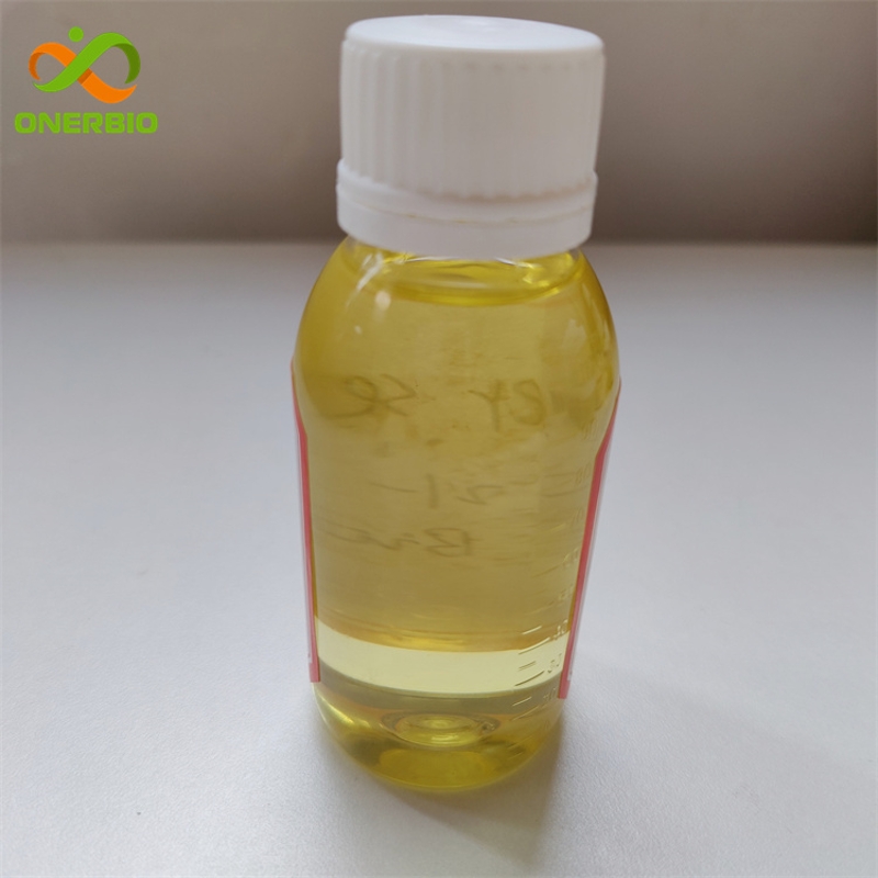 Buy Plant Oil Common lovage root Extract