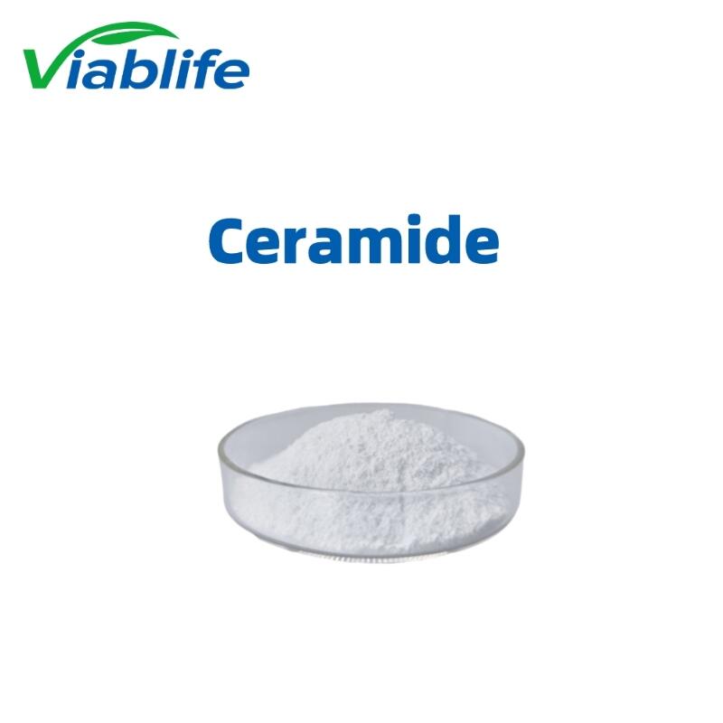 Buy Ceramide 3B ceramide NP cas:34354-88-6 Cosmetics Grade from ...