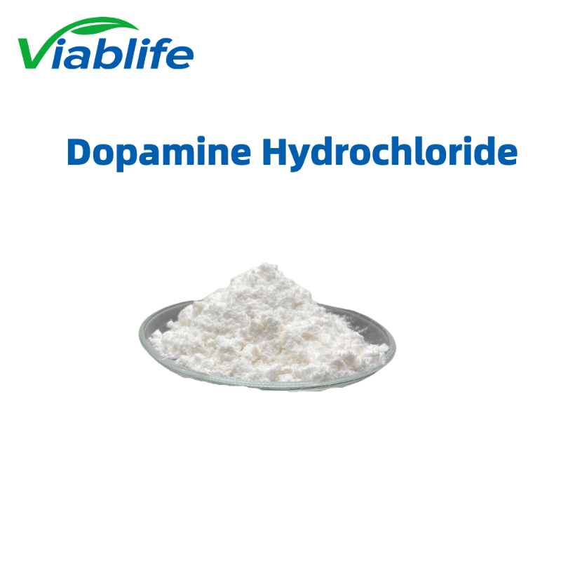 Dopamine hydrochloride salt, 62-31-7