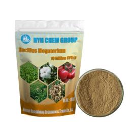 Buy Supply Bacillus coagulans Feed Additives Freeze-dried Probiotics Powder Bacillus coagulans ...