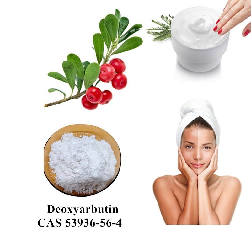 Deoxyarbutin  CAS 53936-56-4 Deoxyarbutin powder