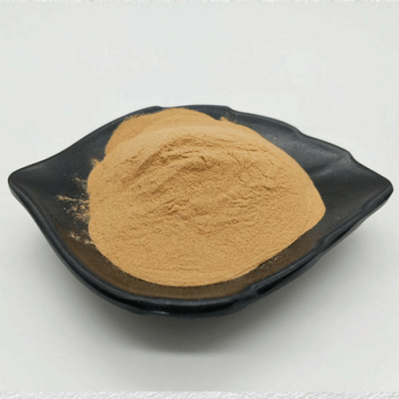 China Professional Factory Manufacturer Supply High Qulity Ginkgo Biloba  Extract CAS 90045-36-6