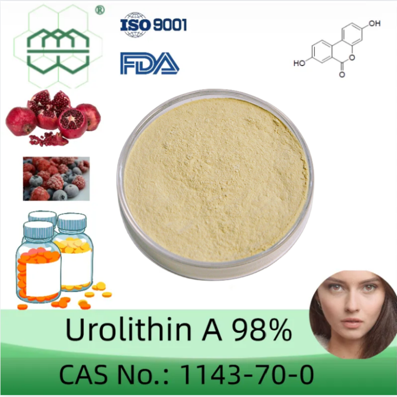 Manufacturer Supplies high-quality supplement Urolithin A 98%  purity min.