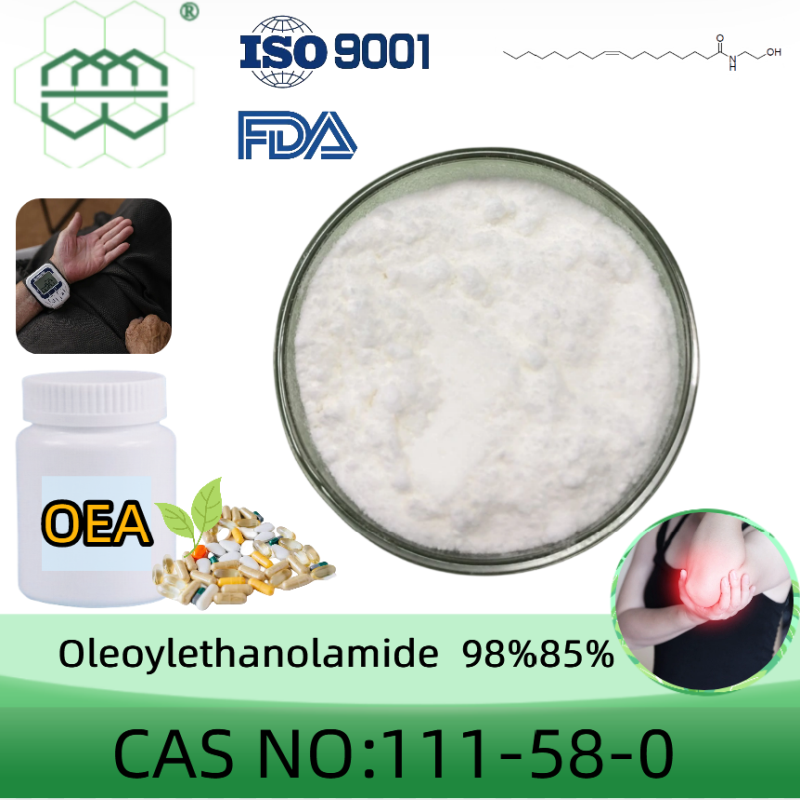 Oleoylethanolamide (OEA) Powder Manufacturer CAS No.: 111-58-0 98%,85% Purity Min. For Supplement Ingredients