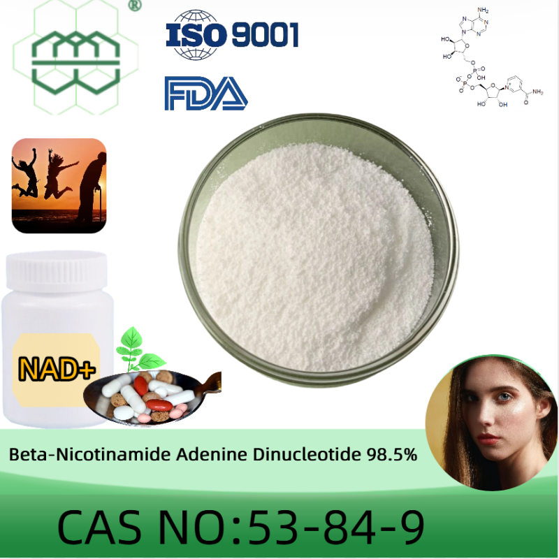 Beta-Nicotinamide Adenine Dinucleotide(NAD+) powder manufacturer CAS No.: 53-84-9 98.5%  purity min. for supplement ingredients