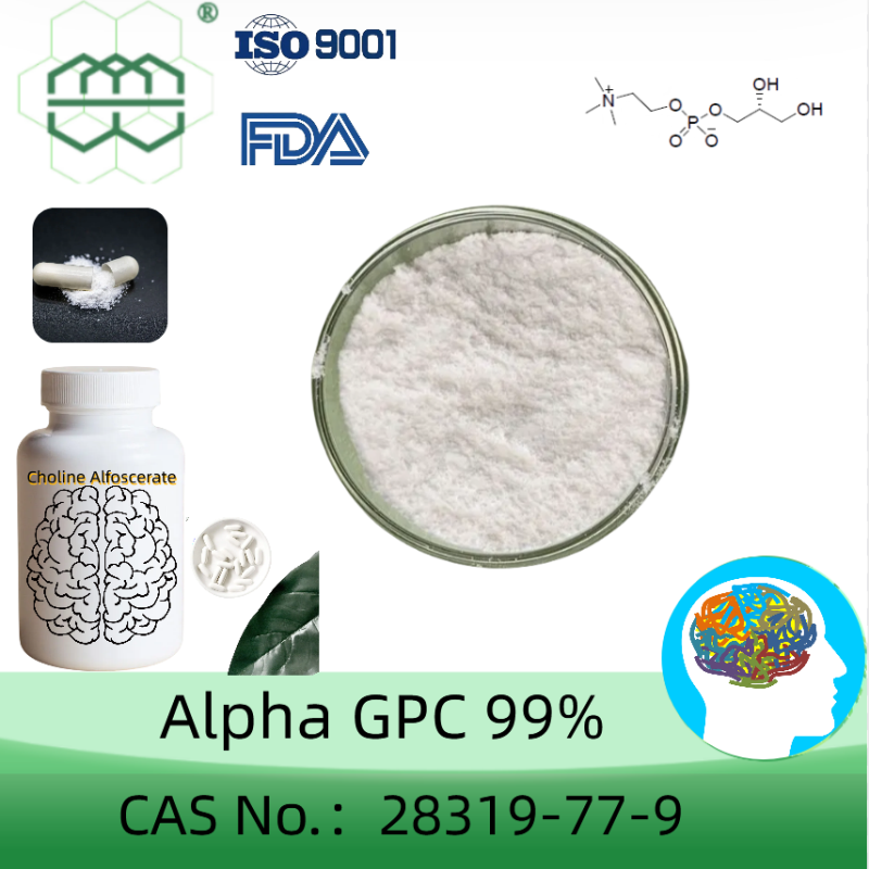 Alpha GPC(Choline Alfoscerate) manufacturer CAS No.: 28319-77-9 99%  purity min. for supplement ingredients