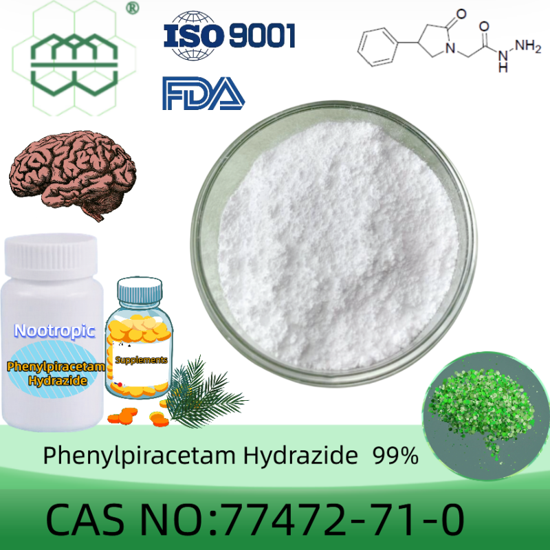 Phenylpiracetam Hydrazide powder manufacturer CAS No.: 77472-71-0 99%  purity min. for supplement ingredients