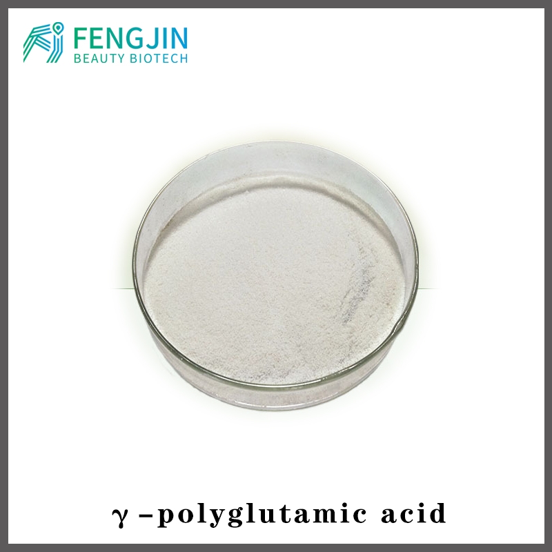 γ-polyglutamic acid low molecular weight γ-PGA Famous Manufacturer high quality