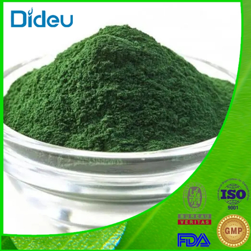 Indocyanine green CAS NO 3599-32-4 Dark green blue or dark brown red powder 89.0 to 100.0 API Medical Dagnostics