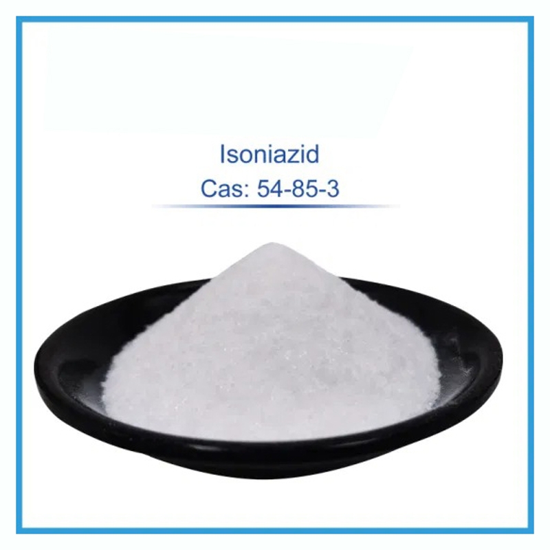 Best Selling Powder Isoniazid CAS NO  (54-85-3) In Wholesale Price