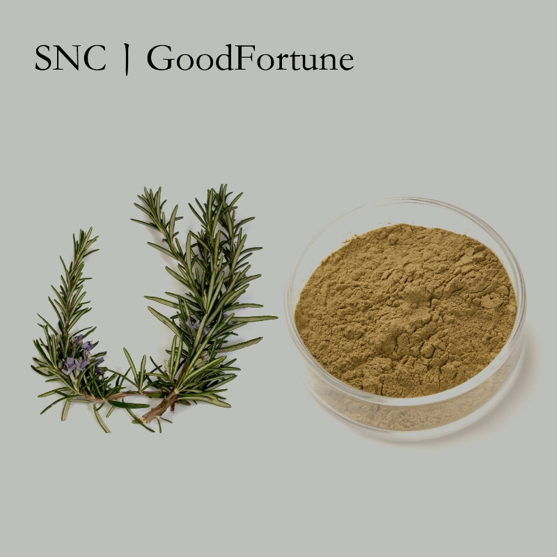 Rosmarinic Acid - SNC | Good Fortune
