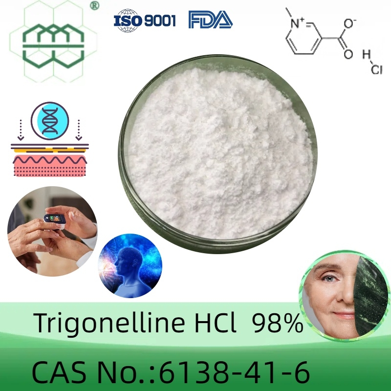 High-quality Trigonelline HCl manufacturer  CAS No.: 6138-41-6  98% purity min.  supplements ingredients