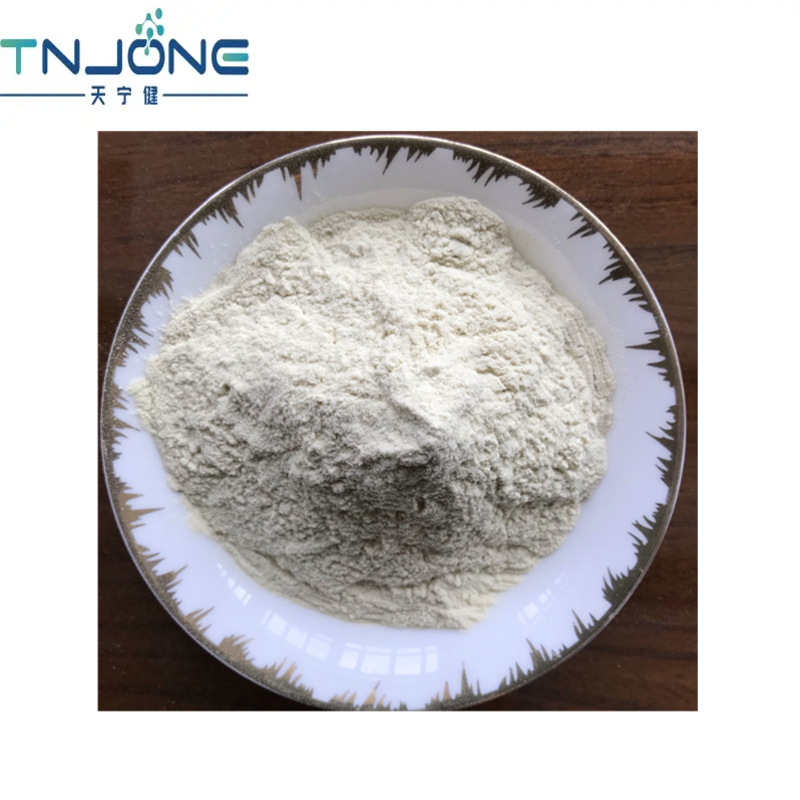 TNJONE High Quality 99% High Purity Antifungal API Raw Powder CAS70458-95-6 Pefloxacin Mesylate