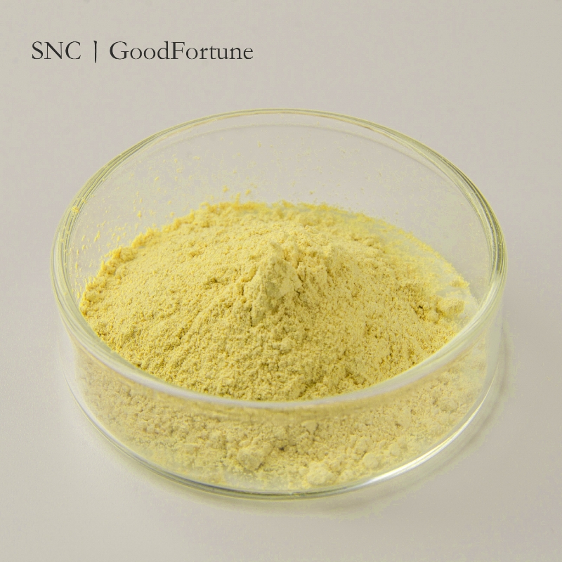 Vitamin K2 Mk4 - SNC | Good Fortune