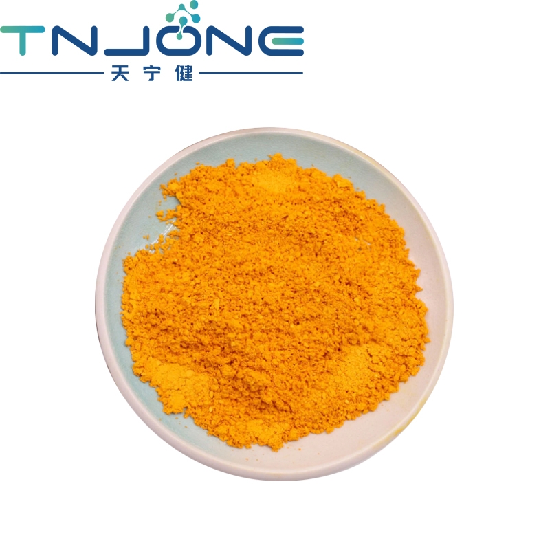 Best Natural Turmeric Extract Curcumin 95% 98% Curcumin Powder CAS 458-37-7