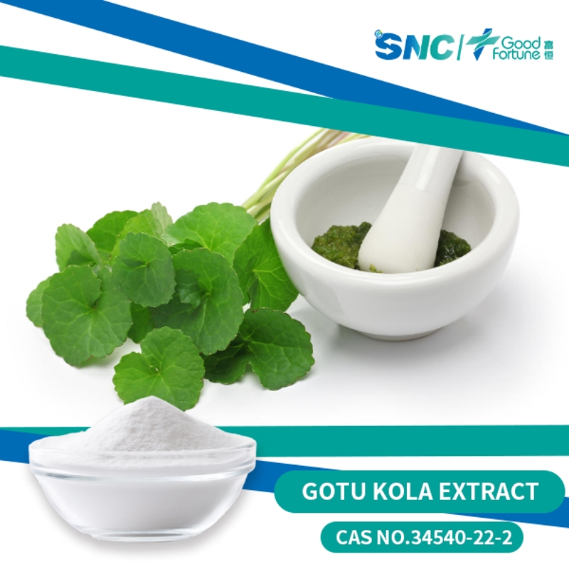 Asiaticoside Extract Plant Extract Gotu Kola Extract SNC | GoodFortune