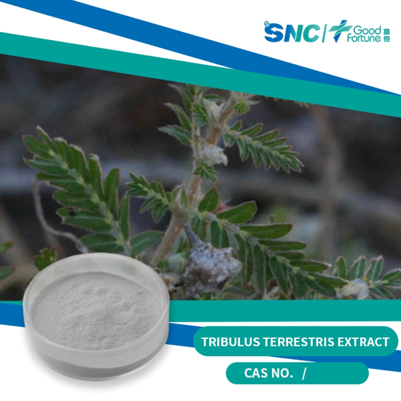 Tribulus Terristris Extract - SNC | GoodFortune