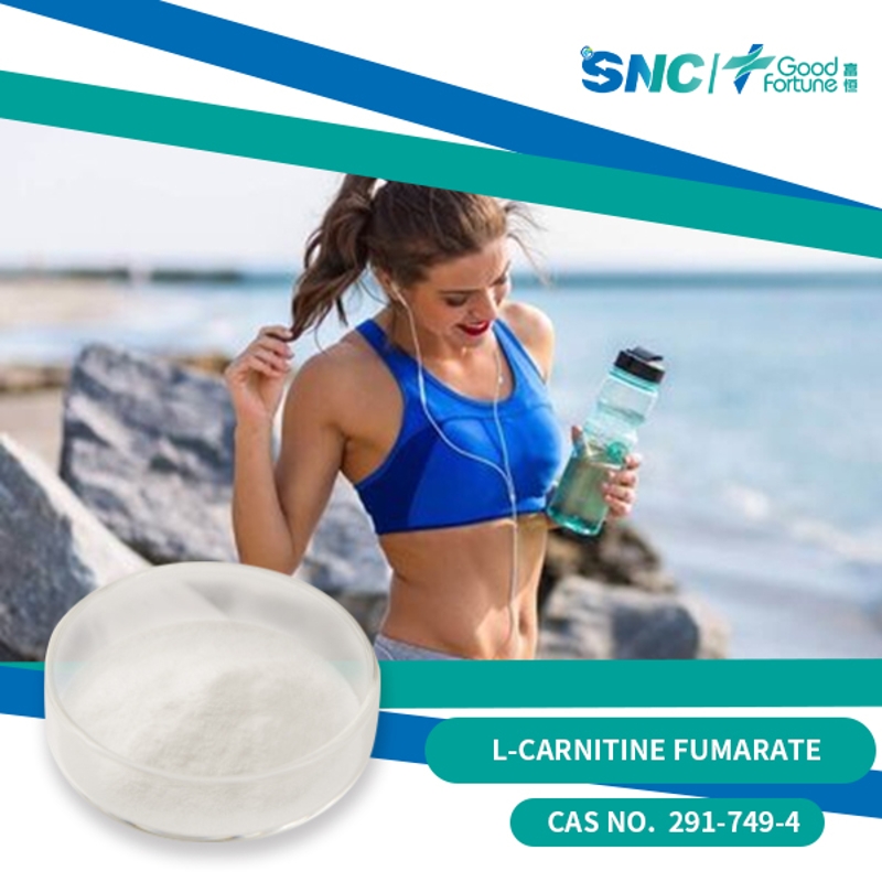 L-Carnitine Base pharmaceutical grade 98% white powder  SNC | Good Fortune