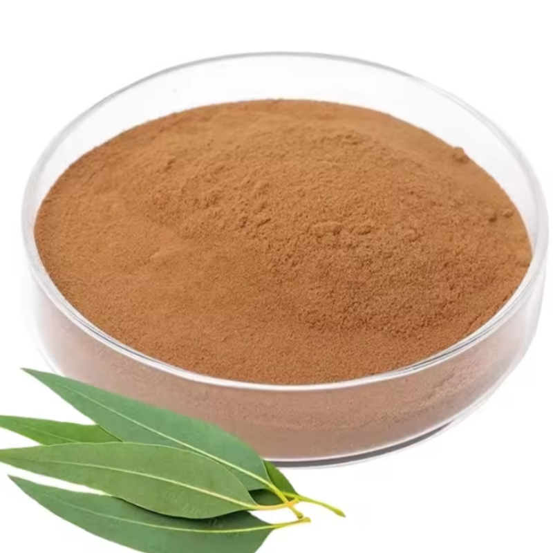 Supply Food additives plant extract eucayptus leaf extract eucalyptus extract powder