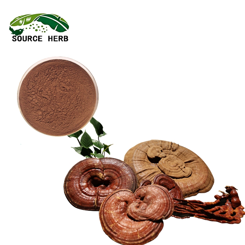 Factory Supply High Quality Wall-Broken Ganoderma Lucidum Spore Powder