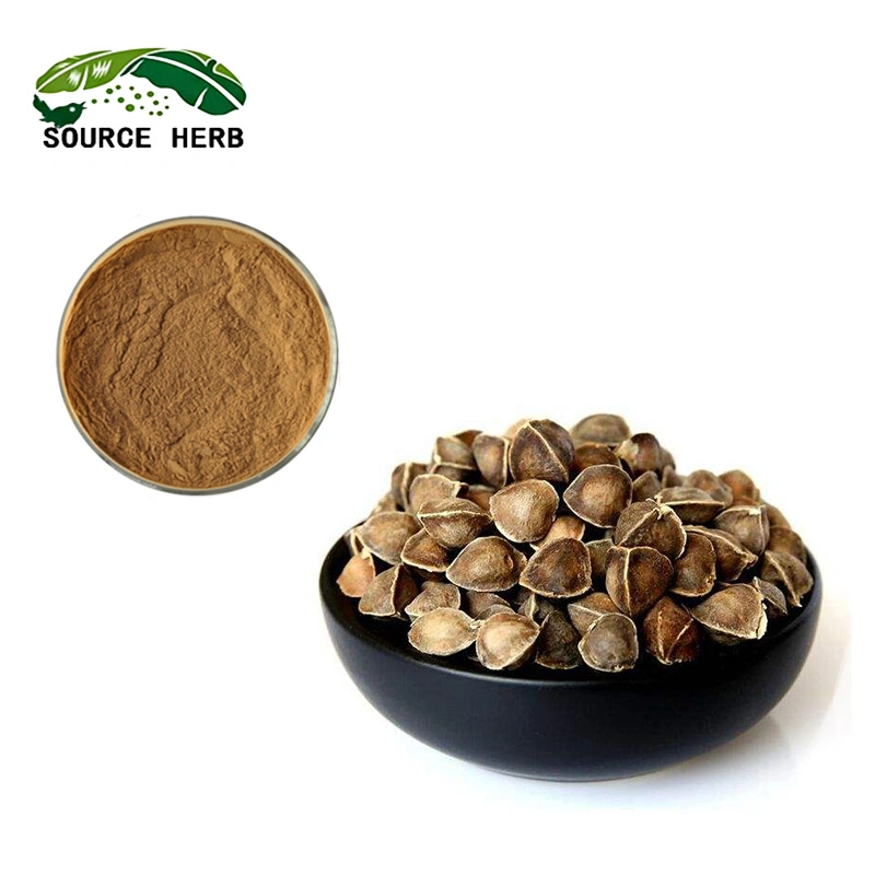 100% Natural Moringa Seed Extract Powder