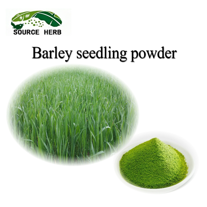 Factory Supply 100% Natural Barley Grass Powder for Healthcare Ingredient