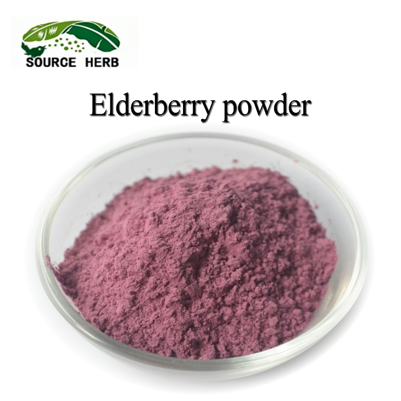 Factory Supply High Quality Elderberry Powder Raw Herb Powder