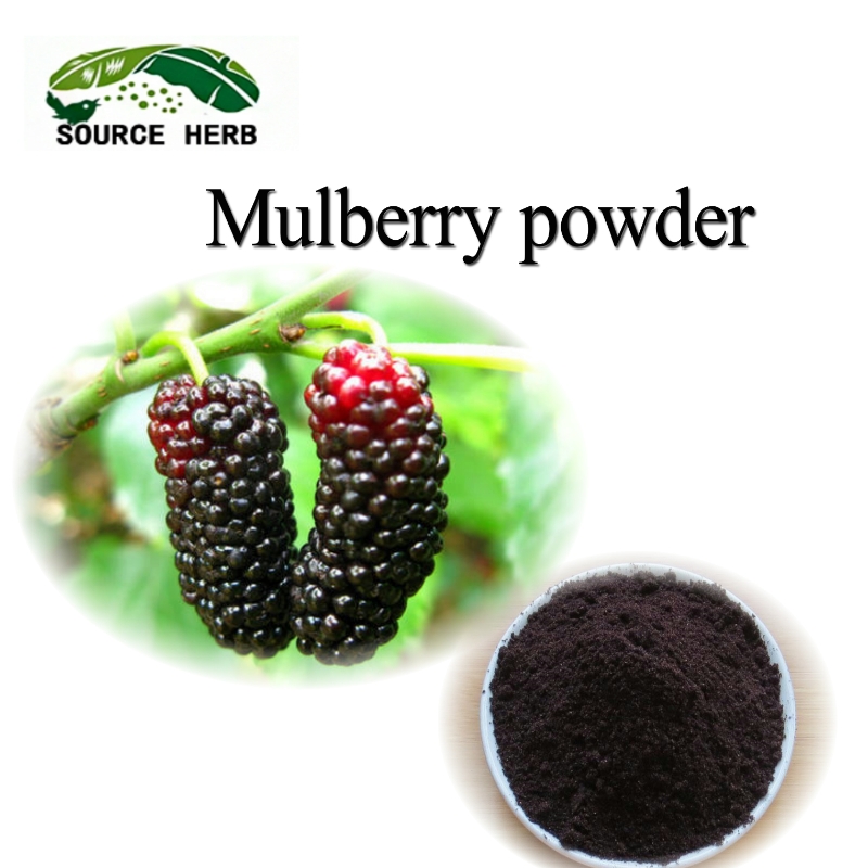 Factory Supply High Quality Mulberry Powder Pure Juice Powder