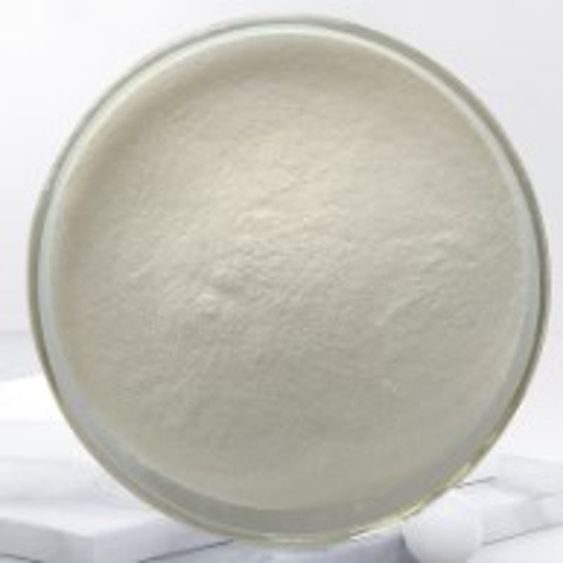 Lactic Acid Bacteria Powder