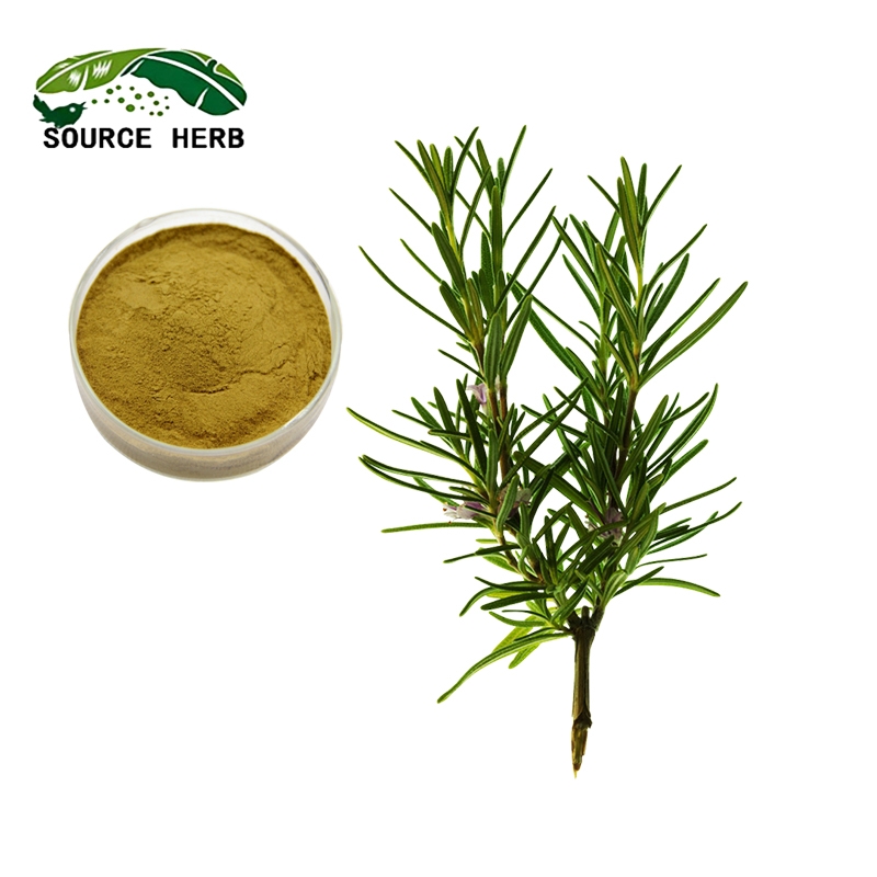 Factory Supply High Quality 100% Natural Rosemary Extract Rosemarinic Acid Carnosic Acid 20%