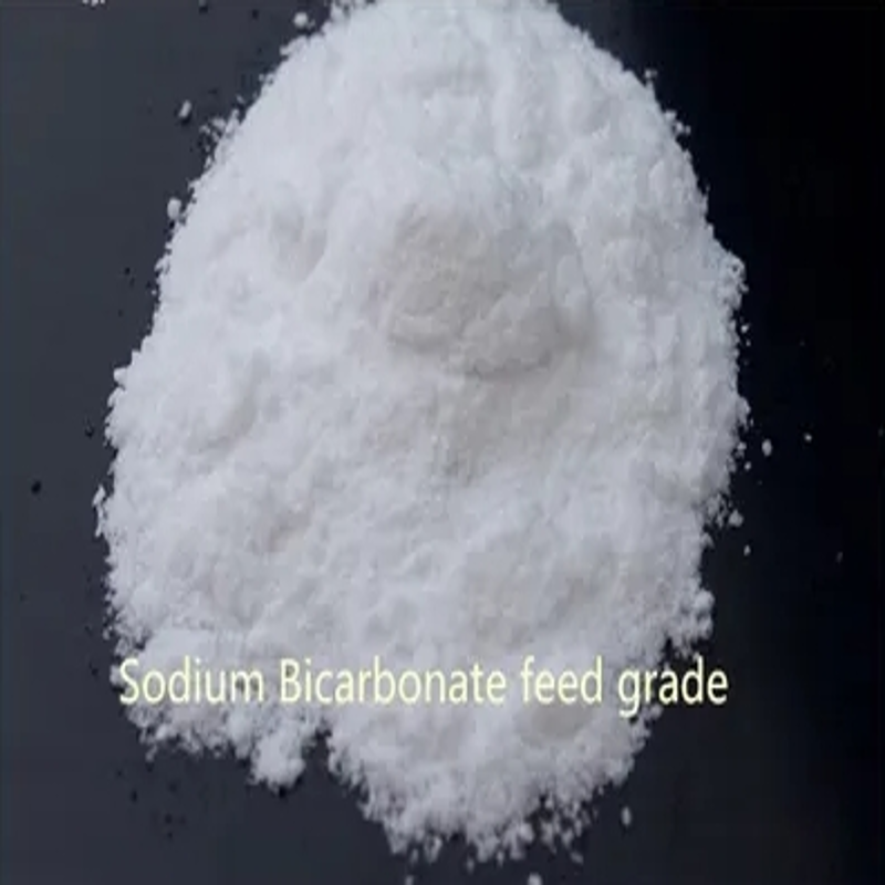 Sodium Bicarbonate Food grade CAS No.144-55-8 purity 99.5% min white crystal powder